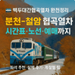 백두대간협곡열차 V-train 이용방법 노선 시간표 예약 이용후기